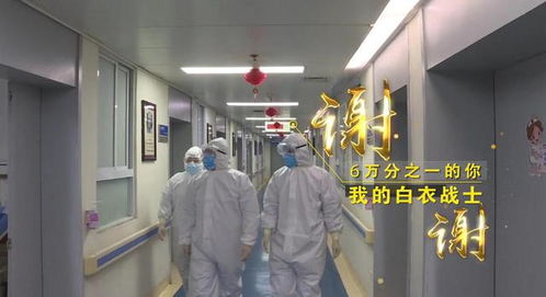 “守護天使”公益律師武漢上崗，為醫護筑起法律后盾